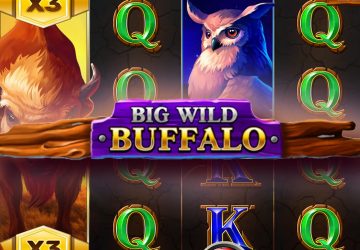 Игра Big Wild Buffalo в BoomPari казино